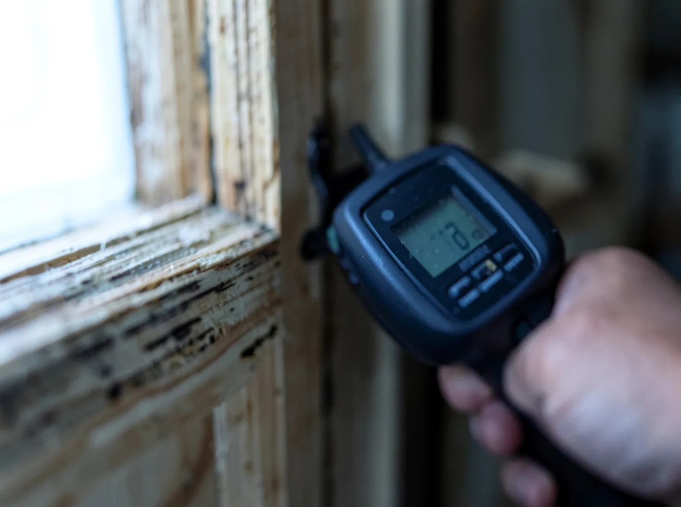 Moisture Inspection And Documentation in Wake Forest, NC